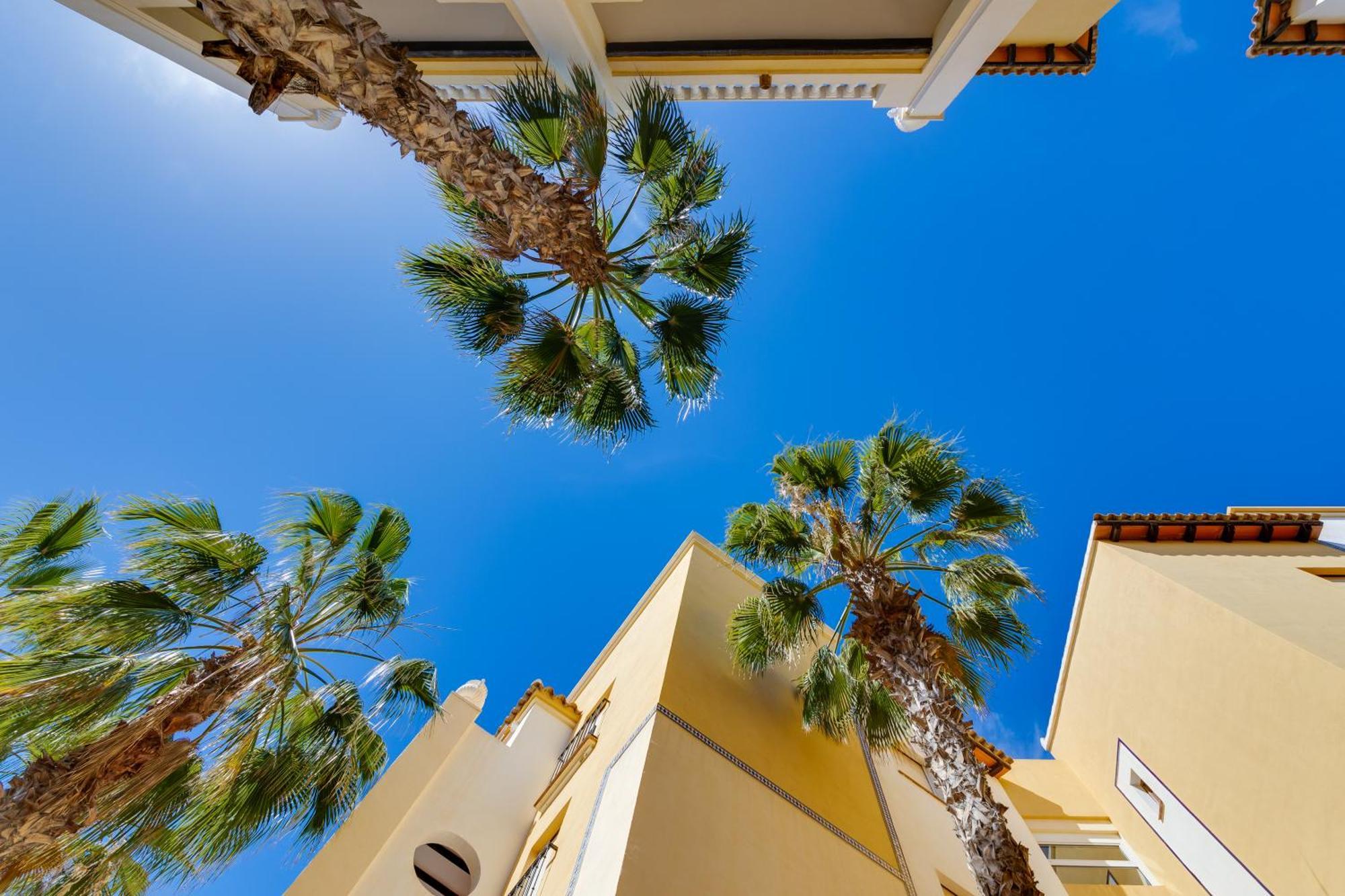 Premium Apartment Beach Aldea Del Mar Torrevieja Bagian luar foto